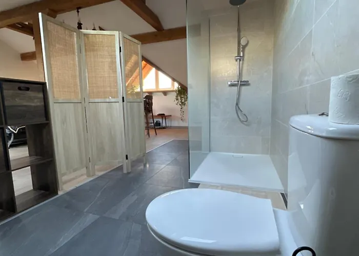 Hotel apartamentowy Chez Clemence & Baptiste Buhl-Lorraine